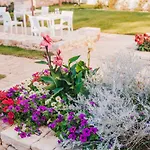 Guest house Trulli In Corte 2*